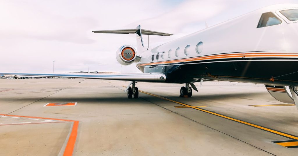 Panică la bordul unui avion. Un șarpte a dus la evacuarea de urgență a pasagerilor